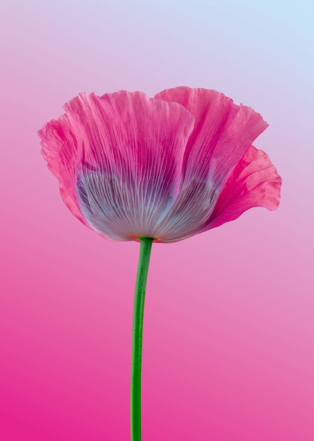https://np-newspic.dfcfw.com/download/D25369062703294044868_w700h573.jpg
